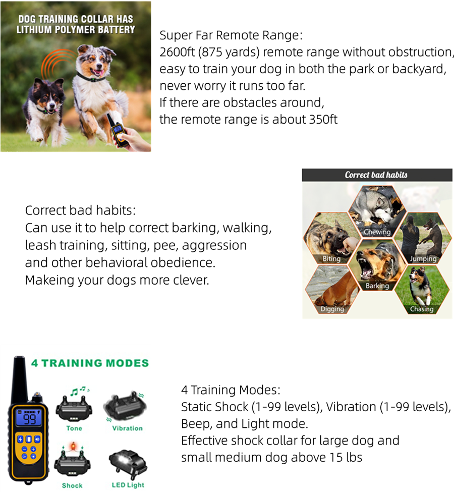 Is Shocking Your Dog Bad